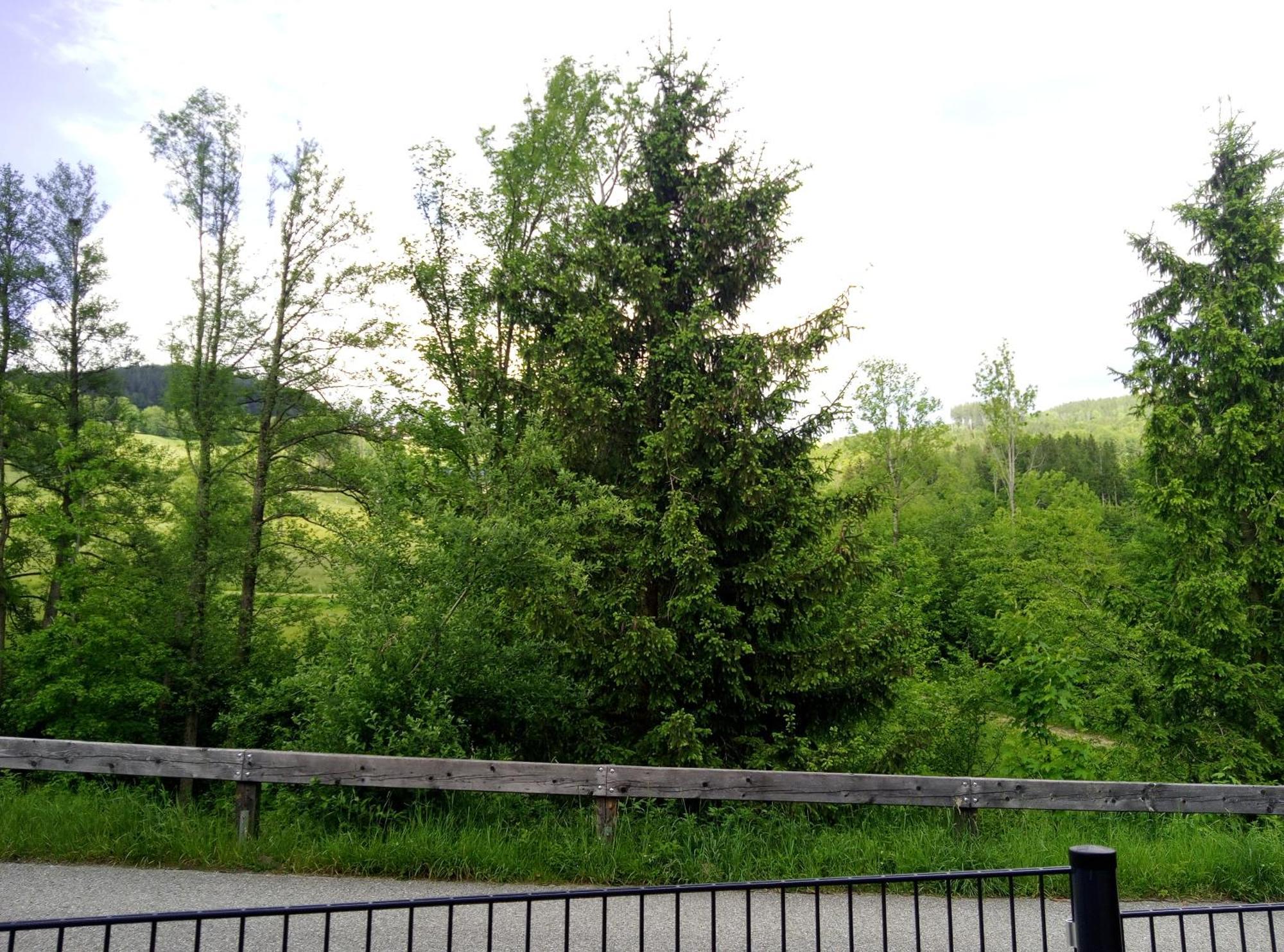 Feapp Parken & Pennen Mondsee